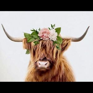 Shaggy highland cow with flowers on head print